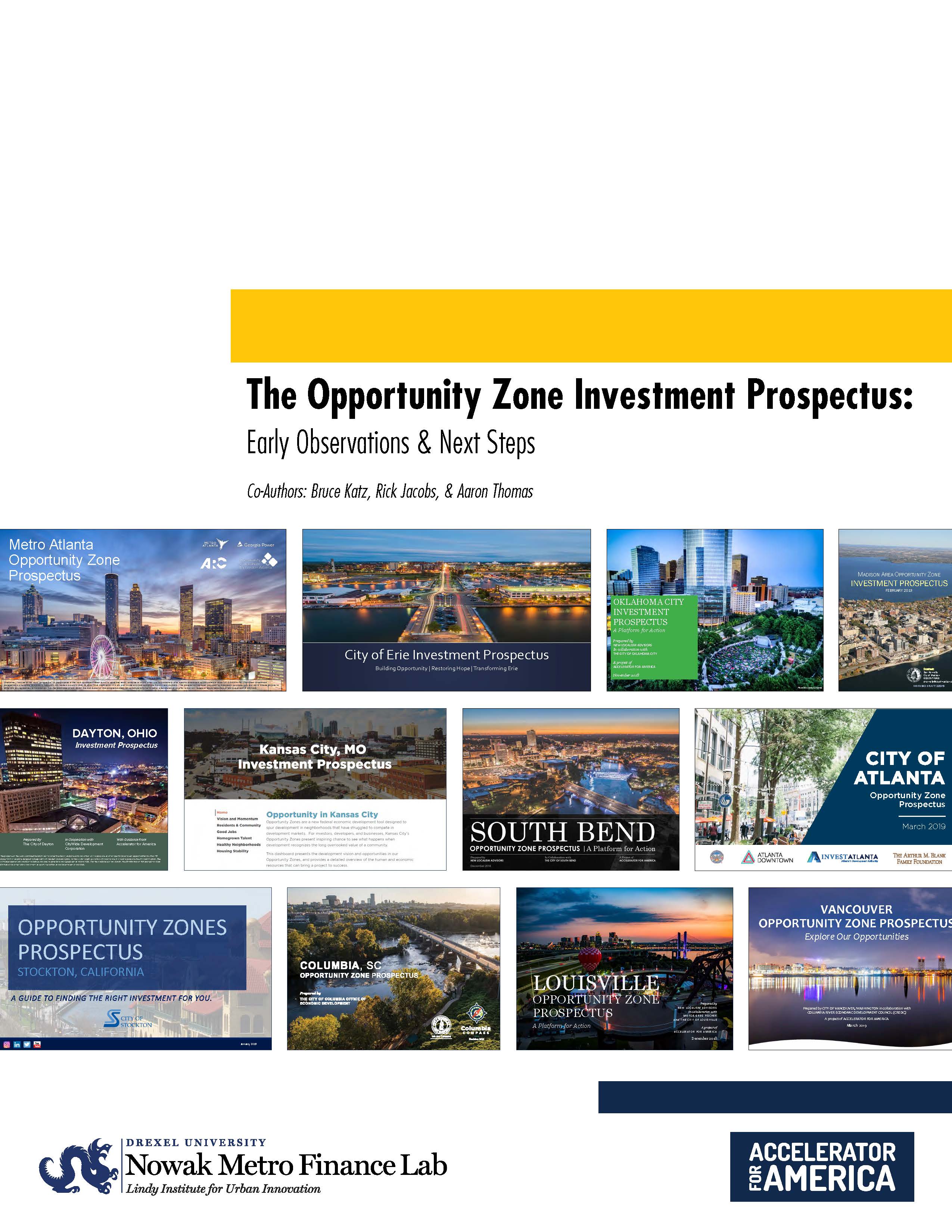 Cover of Investment Prospectus Early Observations and Next Steps report